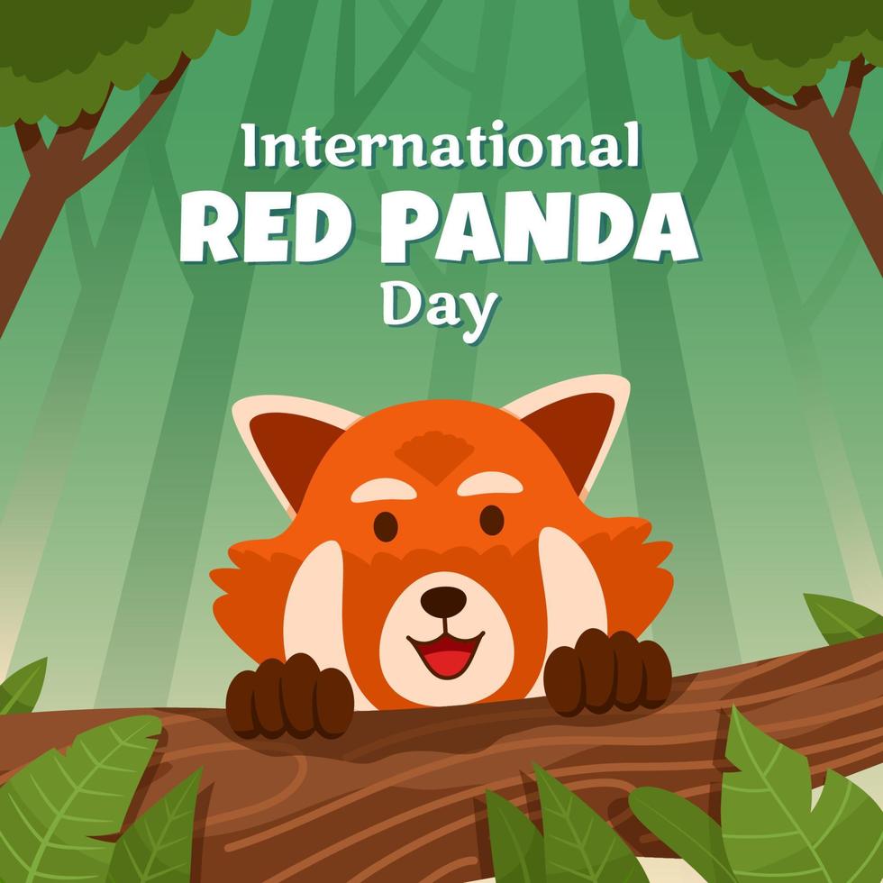 panda rojo detrás de la rama de un árbol vector