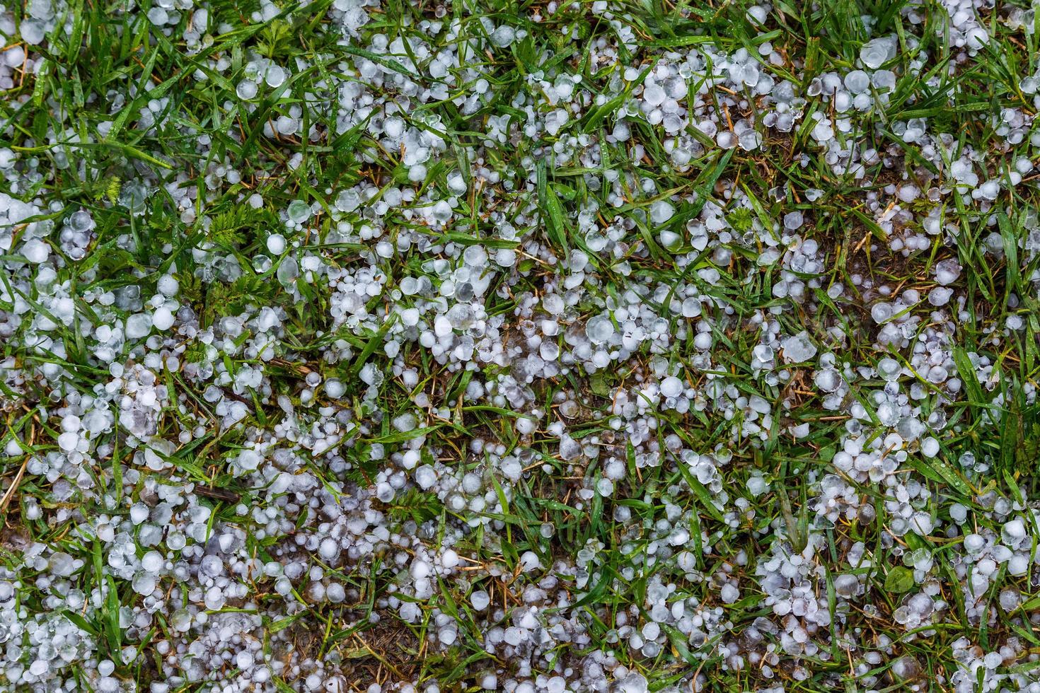 White ice hail on the green grass after summer storm photo