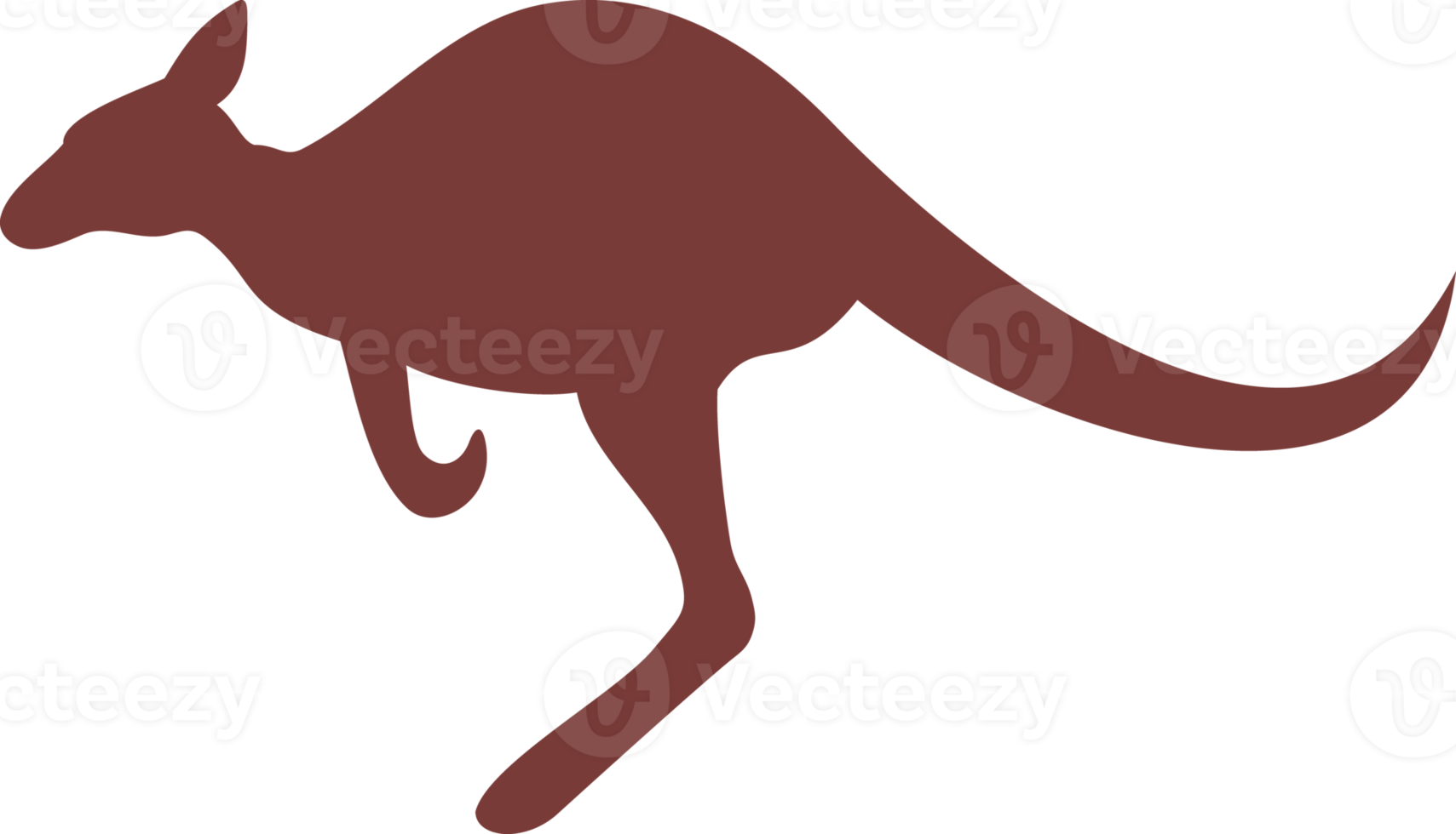 canguro animale colore png