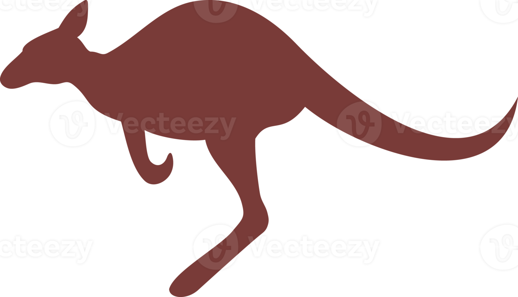 Kangaroo Animal Color png