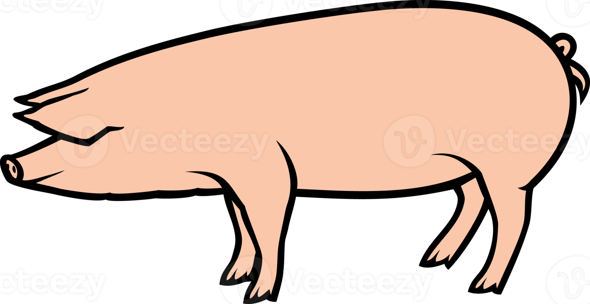 Pig Animal Color png