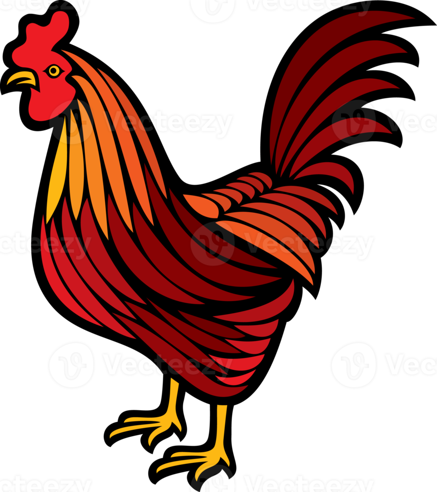 Rooster - Cock png