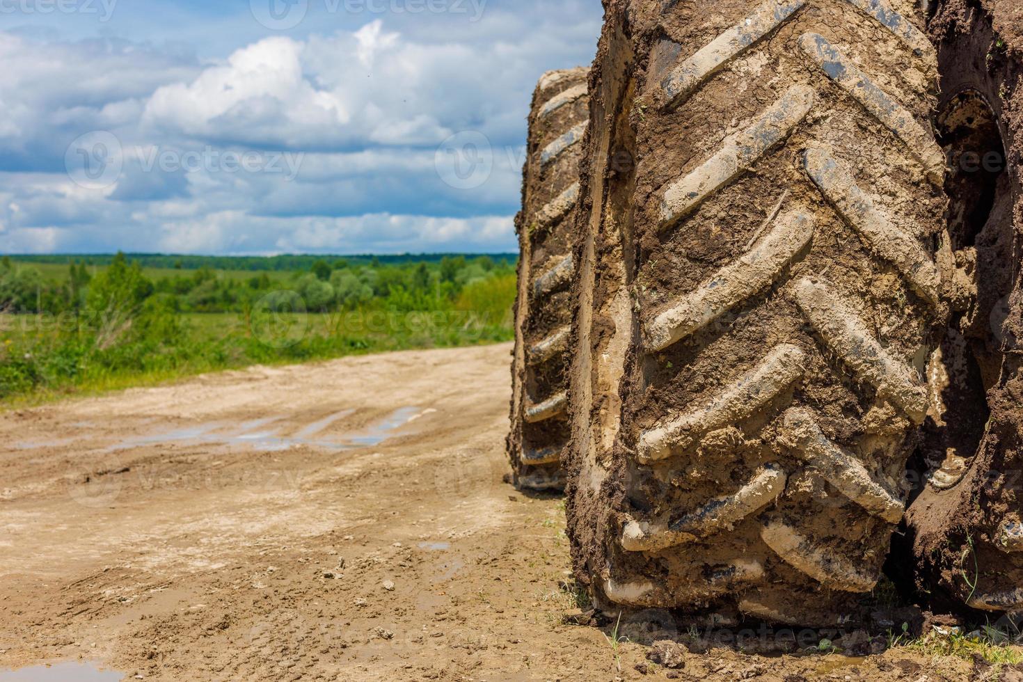 dirty double wheels of agriculture tractor on dirt road at sunny summer day with green field in the background photo