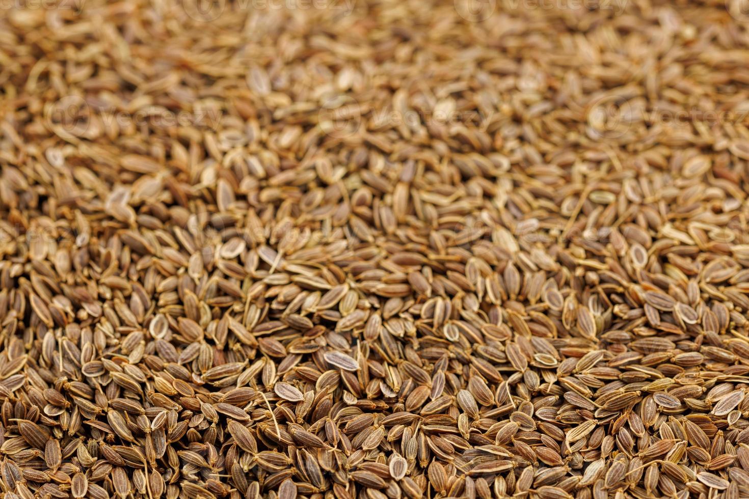dry dill seeds on flat surface, close-up background with selective focus photo