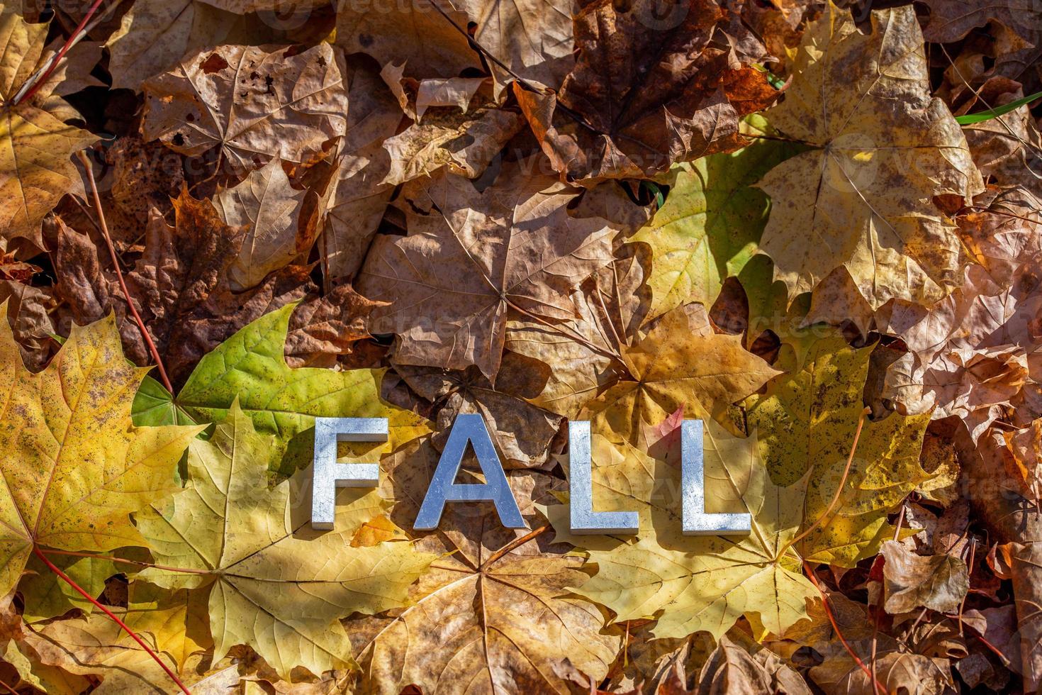 la palabra caída colocada con letras de metal sobre hojas caídas de otoño amarillas - cierre con enfoque selectivo foto