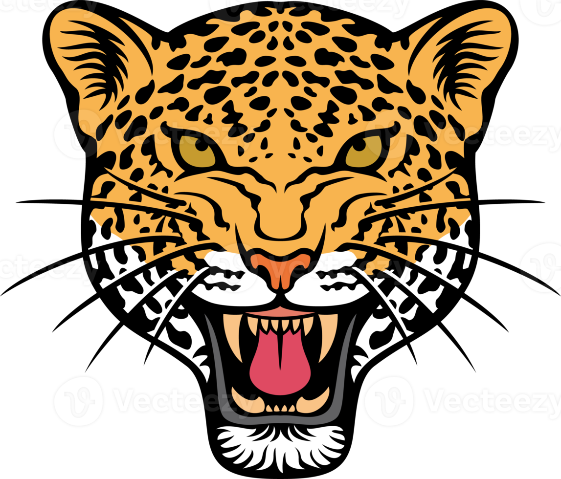 Jaguar Face Color png