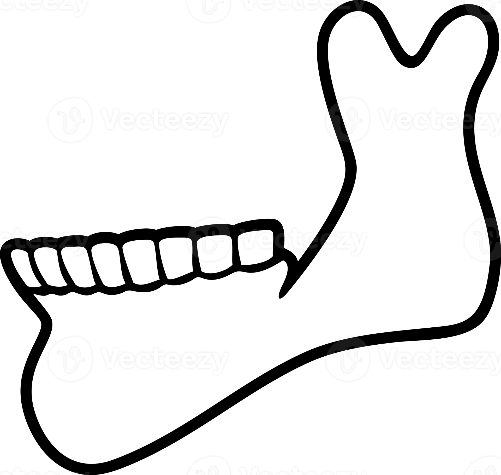 Human Jaw Bone Icon 12638326 PNG