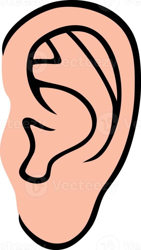 ears clipart png