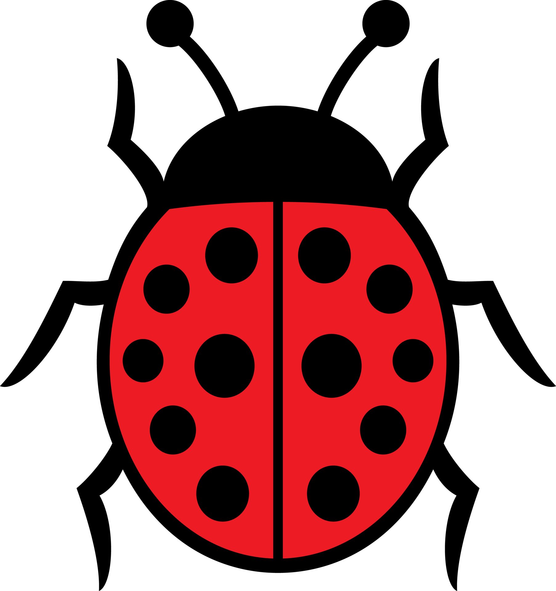 Ladybug Insect Color 12638098 PNG