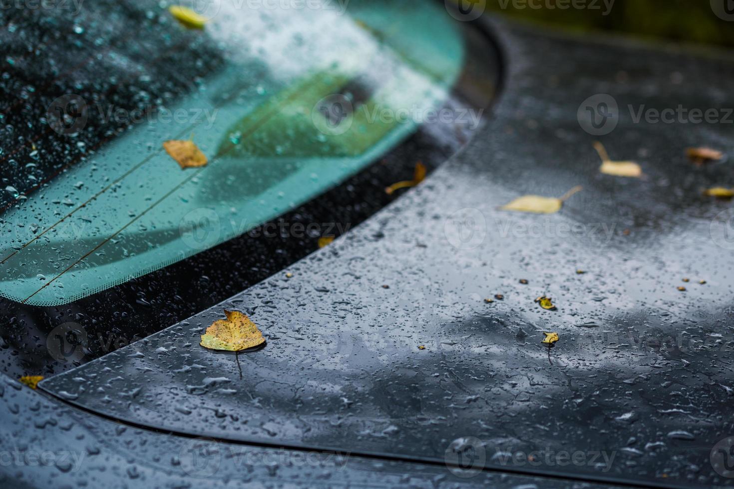 deep blue car at autumn rainy day with orange birch leaves - close-up with selective focus and blur photo