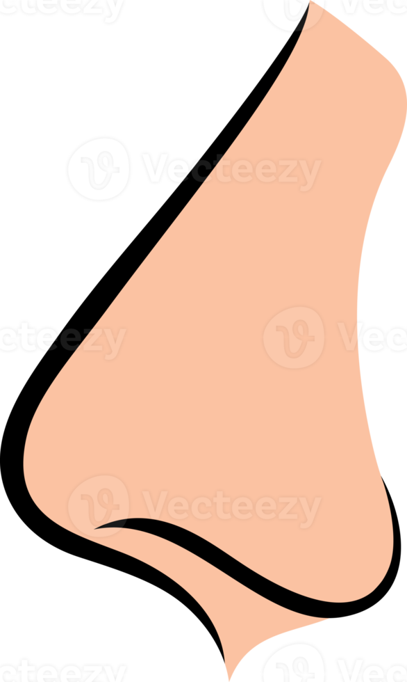 Nose Color Icon png