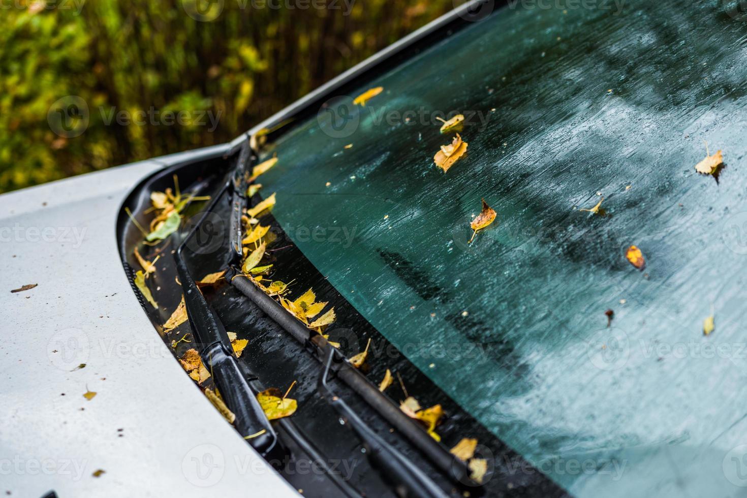 white car at autumn rainy day with orange birch leaves - selective focus win blur closeup photo