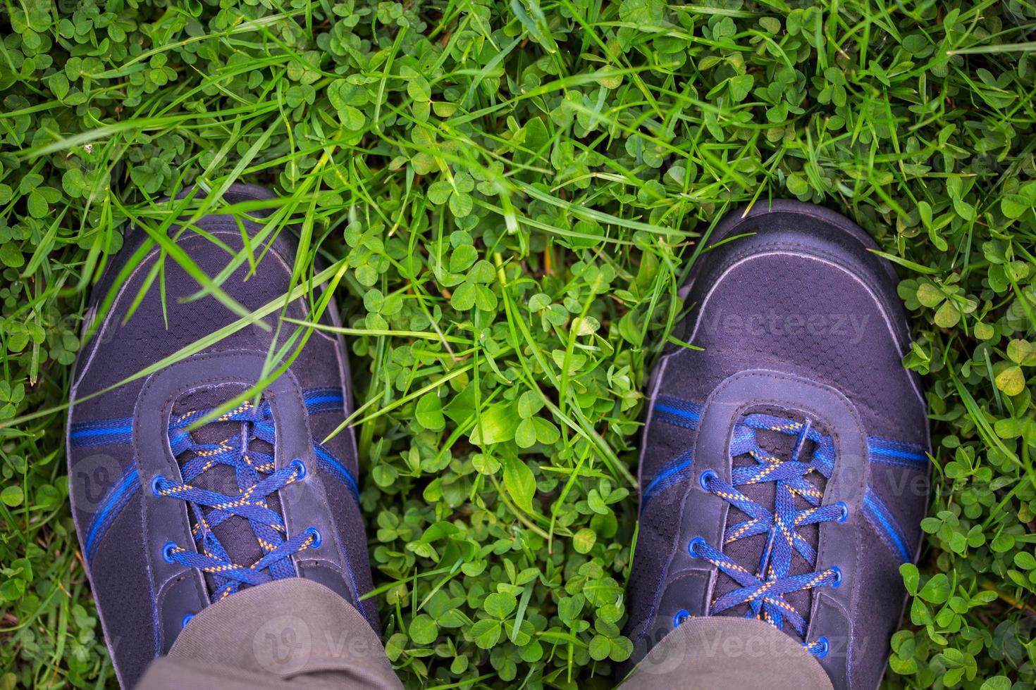 legs in outdoor shoes on clover grass field photo