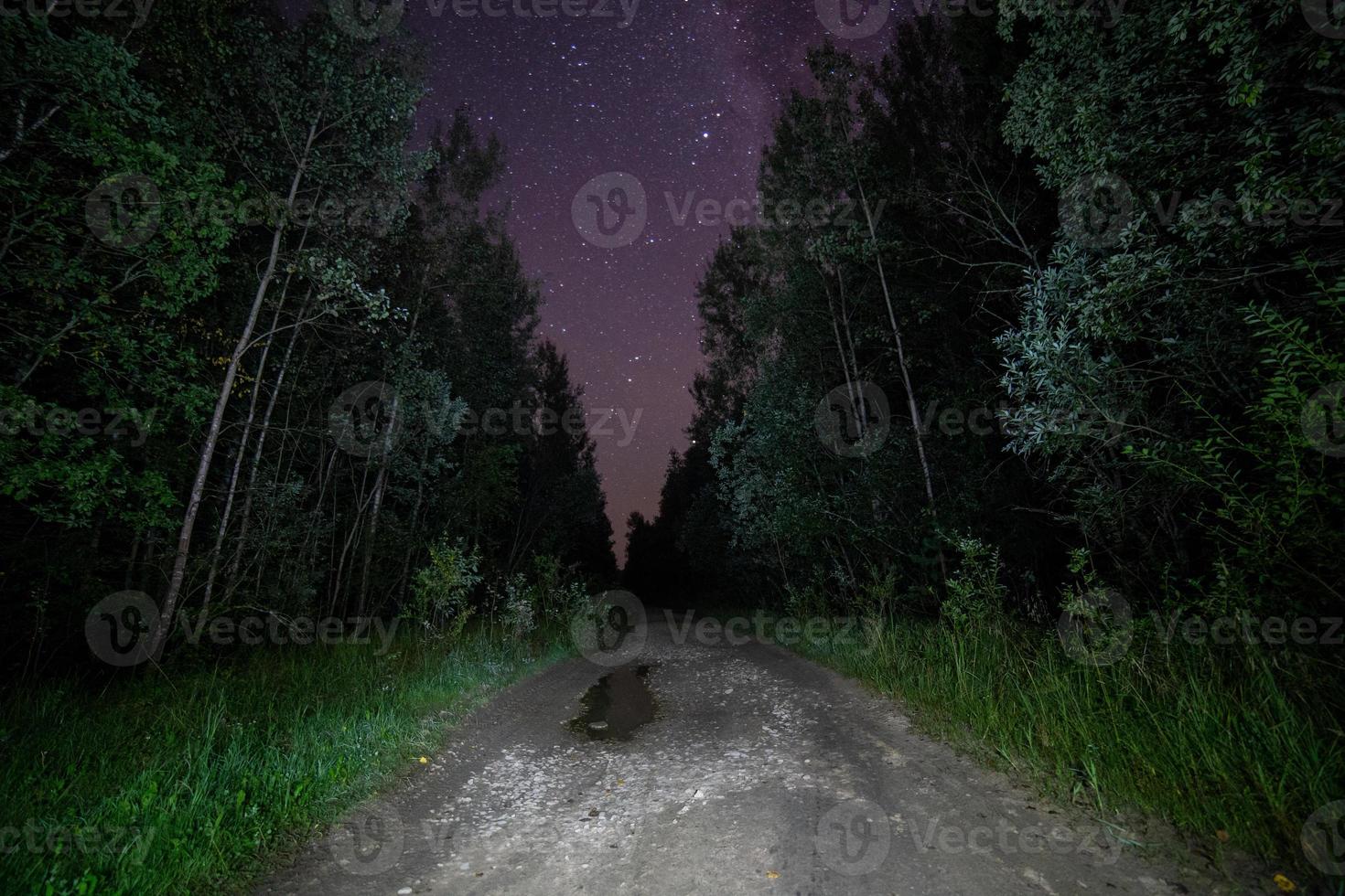 spooky black night in summer forest, dirt road and starry sky photo