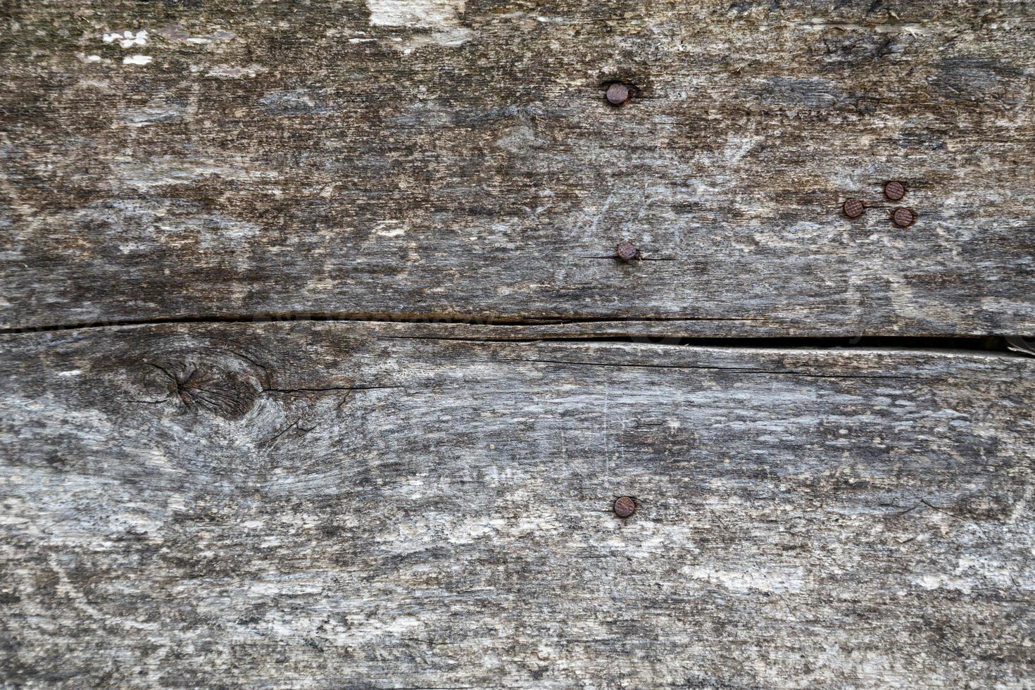 old gray dry wooden board with nails macro texture and background photo