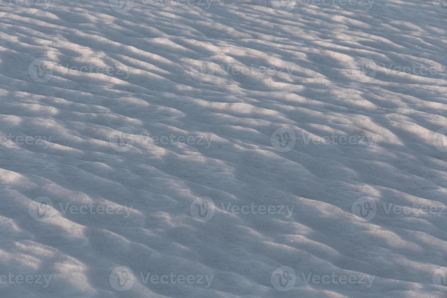 closeup snow field background with selective focus under direct evenong sunlight photo