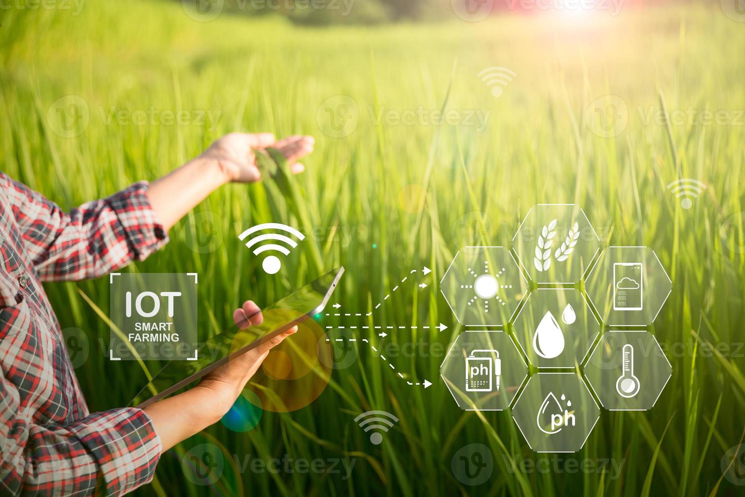 Agriculture technology farmer holding digital tablet or tablet technology to research about agriculture problems analysis data and visual icon. smart agriculture farmer using internet of things photo