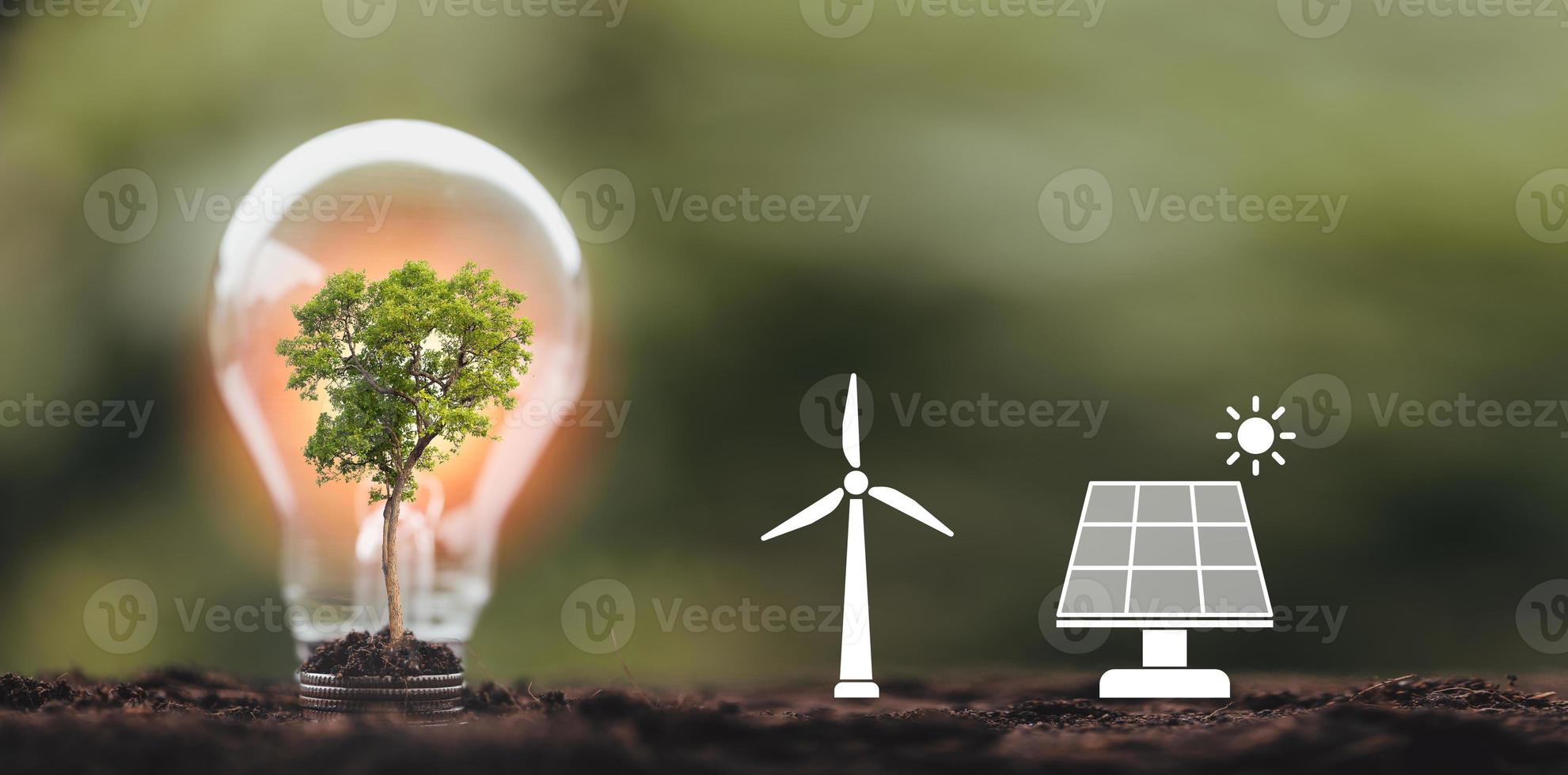 alternative energy, Renewable Energy, saving energy, electricity light lamp from solar and finance, finance banking growth, energy stock investment, tree growing up on coin and lightbulb on soil photo