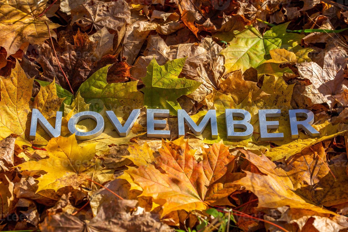 la palabra noviembre colocada con letras de metal sobre hojas caídas de otoño amarillas - cierre con enfoque selectivo foto