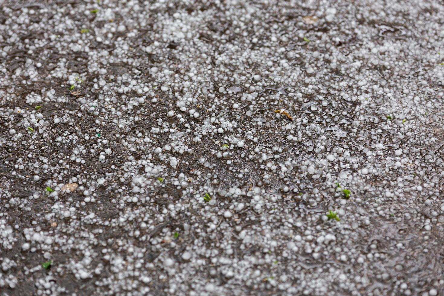 White ice hail on the asphalt road surface photo