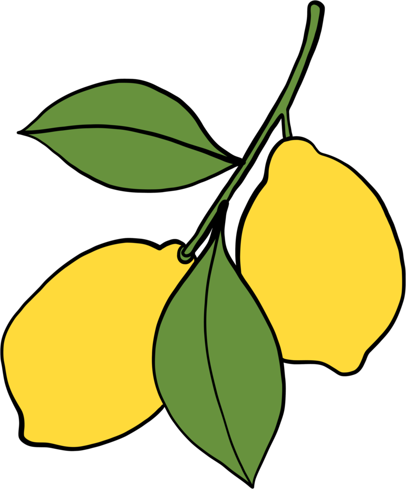 scarabocchiare a mano libera disegno di frutta di limone. png