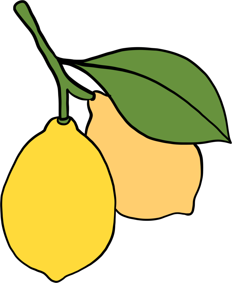 doodle freehand sketch drawing of lemon fruit. png