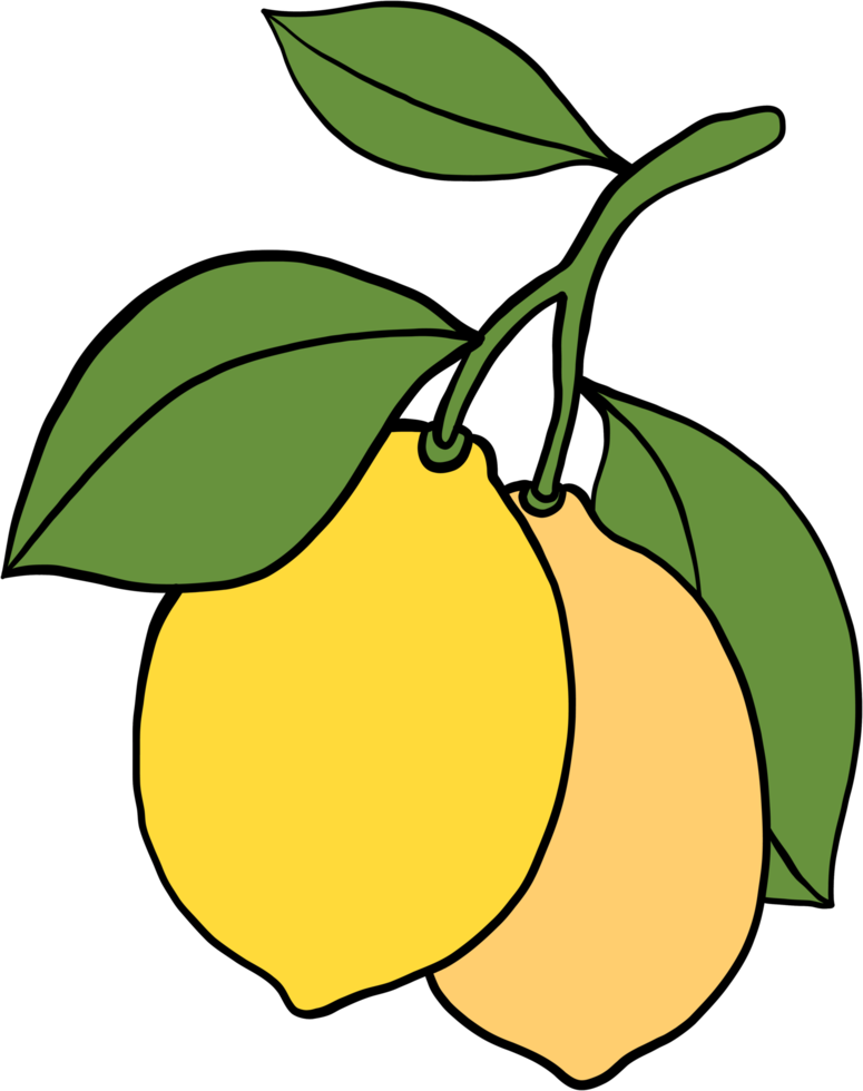doodle uit de vrije hand schets tekening van citroen fruit. png