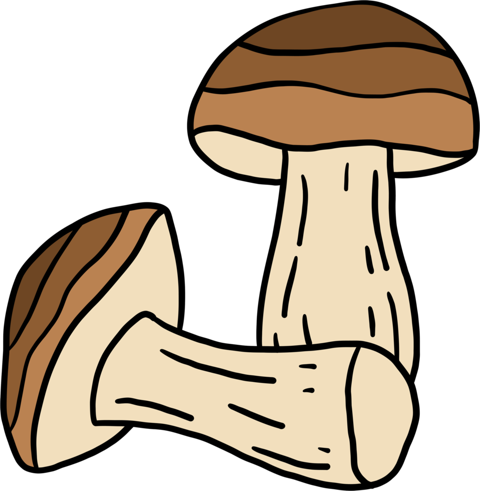 doodle freehand sketch drawing of porcini mushroom. png
