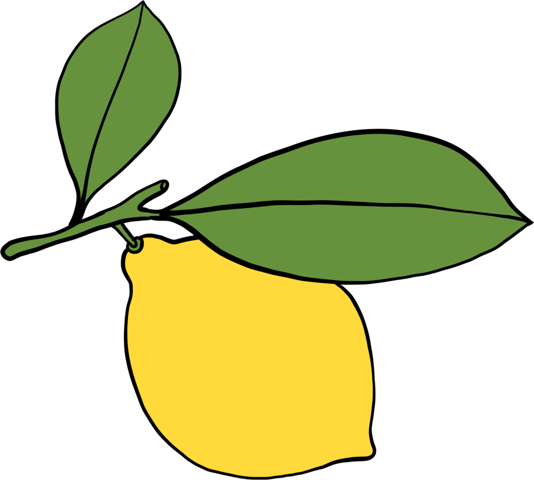 doodle freehand sketch drawing of lemon fruit. png