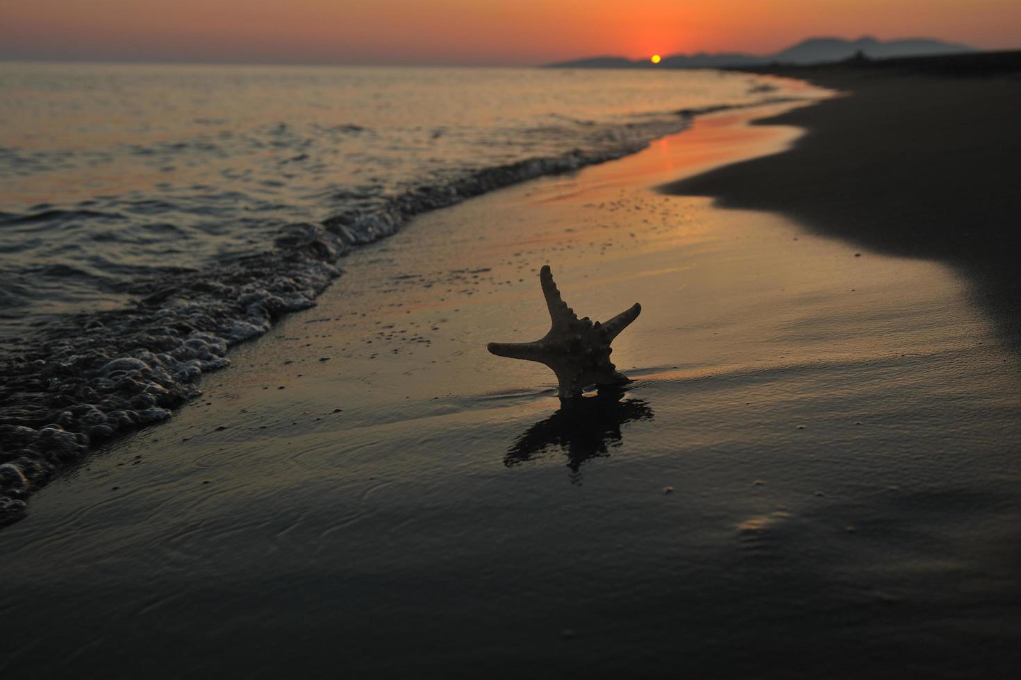 summer beach sunset with star on beach photo