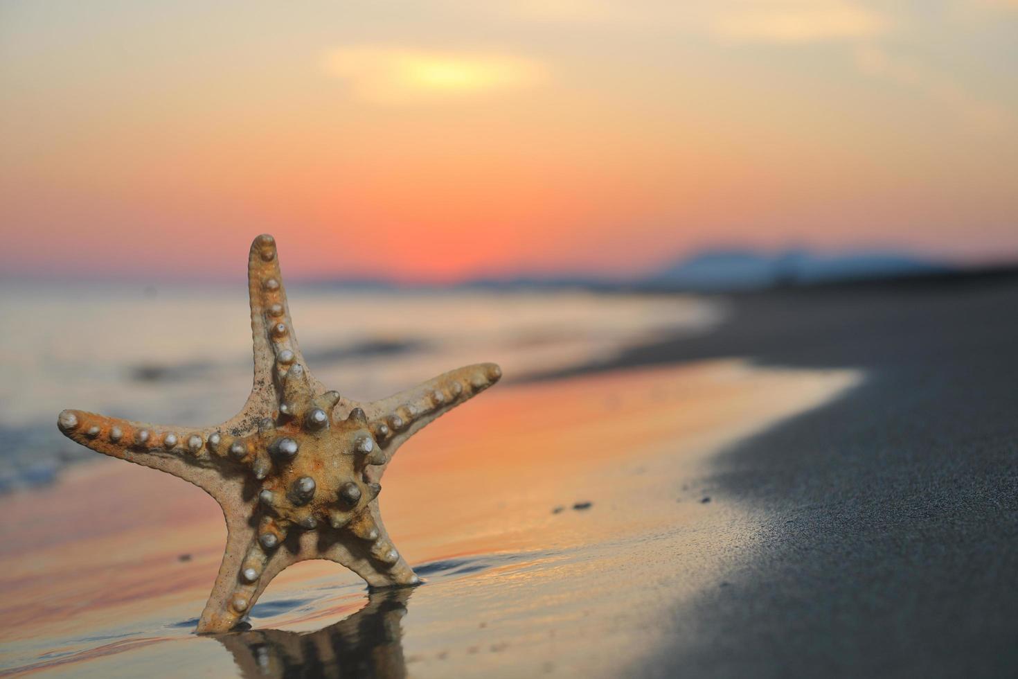 summer beach sunset with star on beach photo