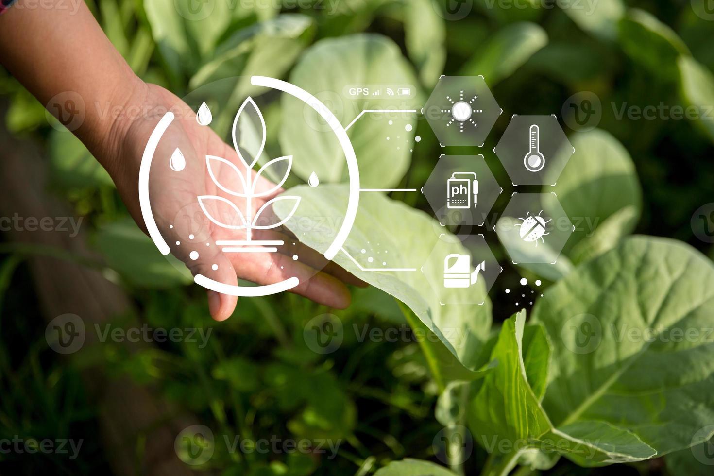 Agriculture technology farmer holding digital tablet or tablet technology to research about agriculture problems analysis data and visual icon. smart agriculture farmer using internet of things photo