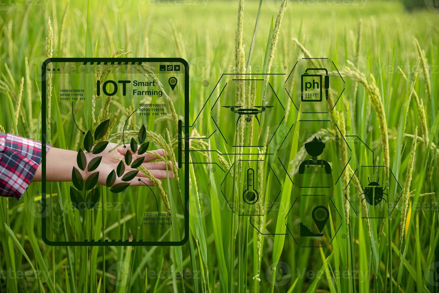 Agriculture technology farmer holding digital tablet or tablet technology to research about agriculture problems analysis data and visual icon. smart agriculture farmer using internet of things photo