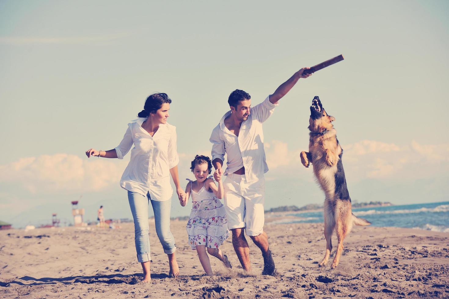 happy family playing with dog on beach photo
