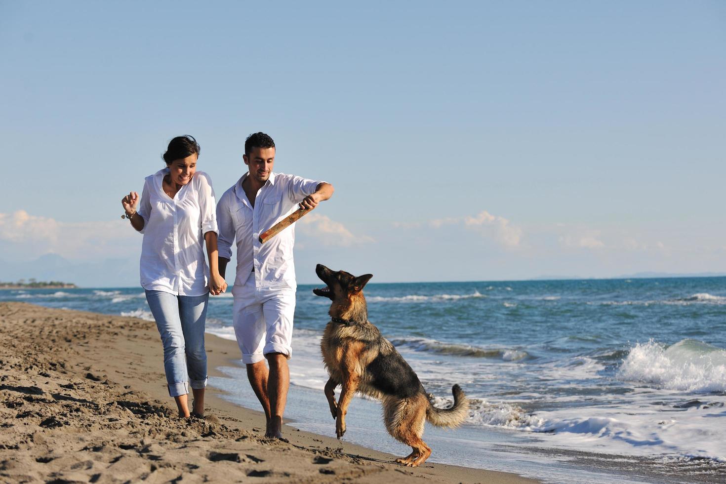 happy family playing with dog on beach photo