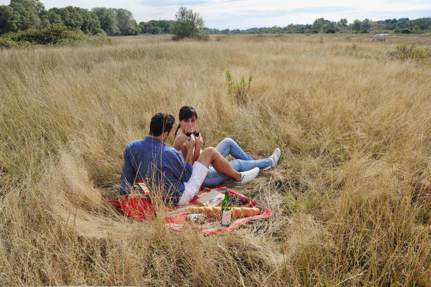 happy couple enjoying countryside picnic in long grass photo