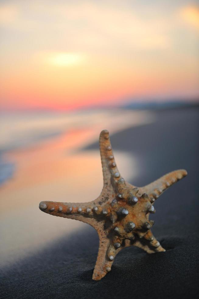 summer beach sunset with star on beach photo