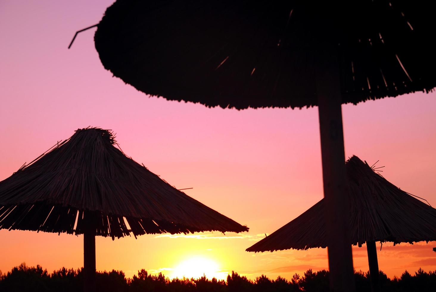 sunshine on beach with beach umbrellas silhouette photo