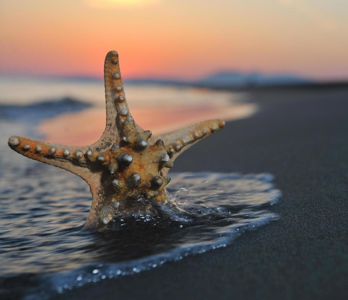 puesta de sol de playa de verano con estrella en la playa foto