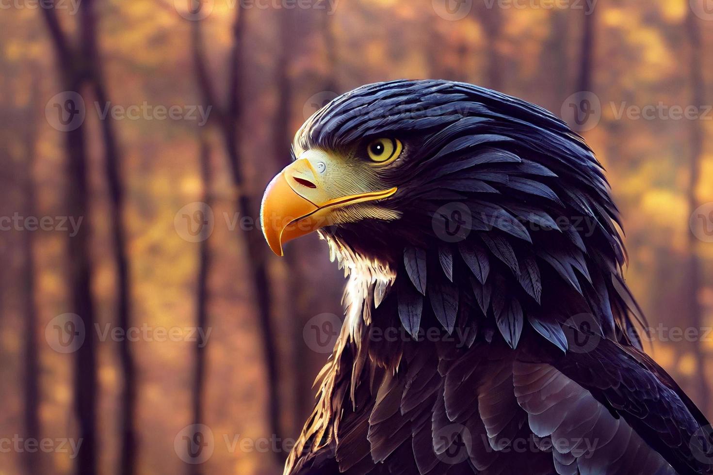 Illustration of a majestic eagle in the autumn forest 12645958 Stock Photo at Vecteezy Illustration of a majestic eagle in the autumn forest 12645958 Stock Photo at Vecteezy