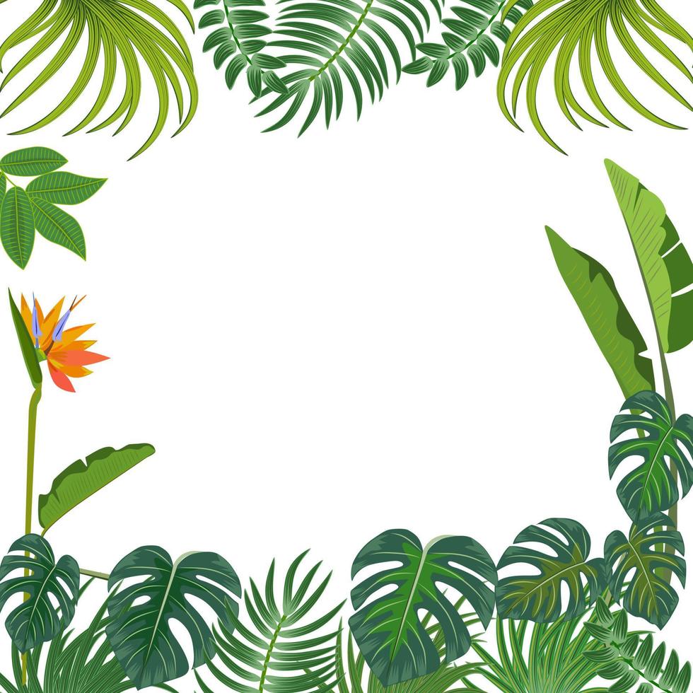 fondo vectorial de la selva tropical con palmeras y hojas. vector