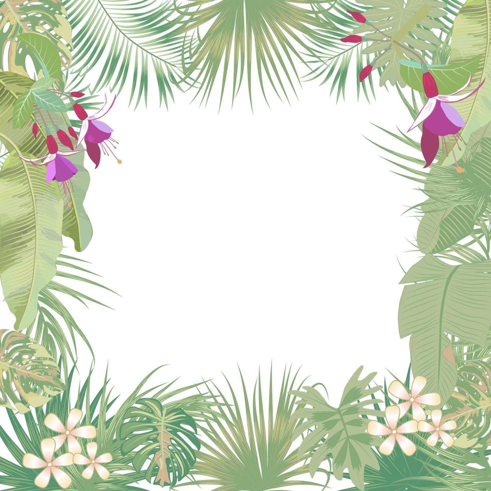 Vector tropical jungle banner, frame with palm trees, flowers and leaves on white background