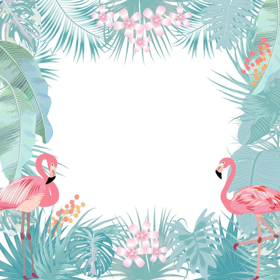 marco de selva tropical vectorial con flamencos, palmeras, flores y hojas sobre fondo blanco vector