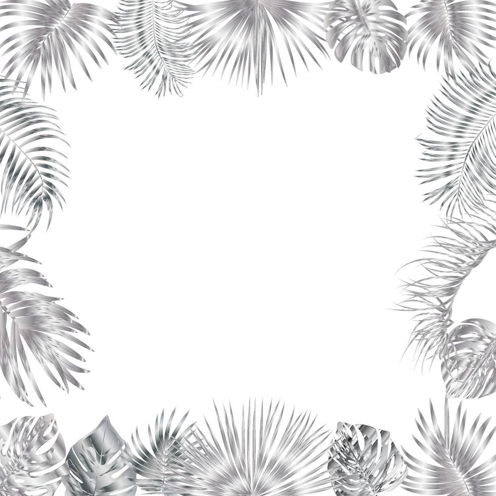 marco de selva tropical vectorial con palmeras plateadas y hojas sobre fondo blanco vector