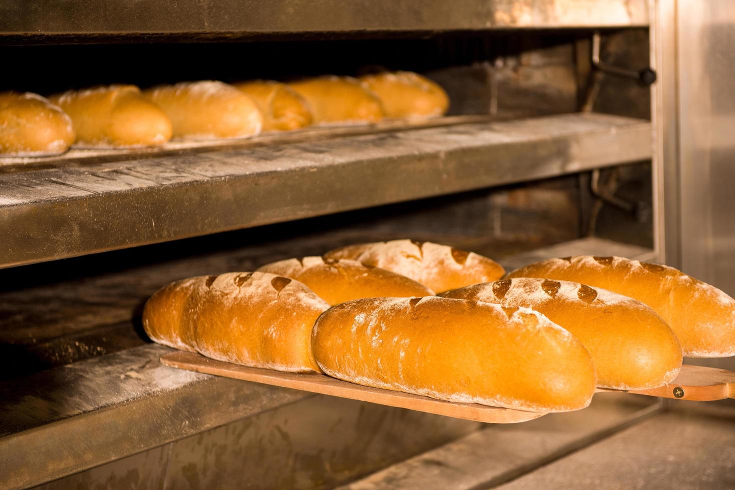 Baked bread in the bakery photo