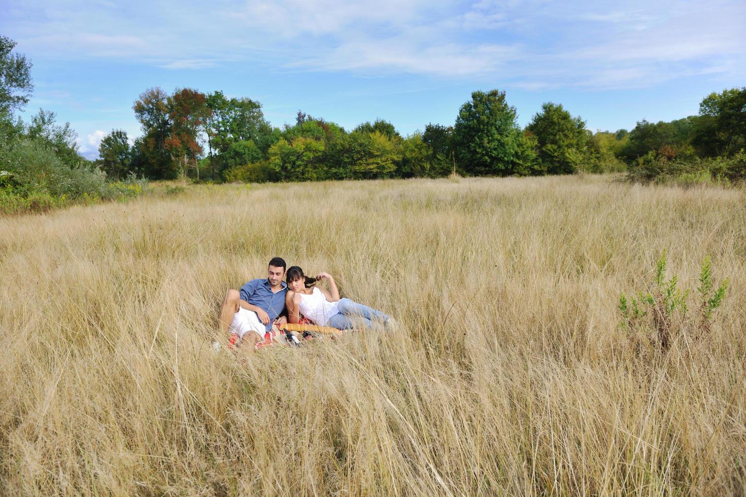 pareja feliz disfrutando de un picnic en el campo en hierba larga foto