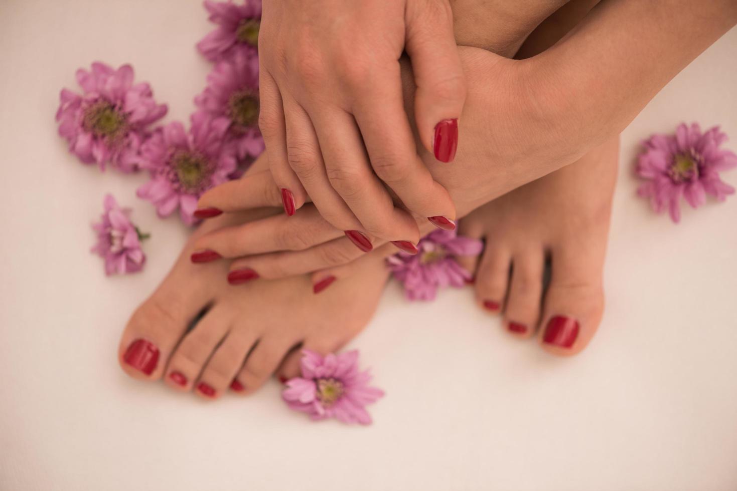 female feet and hands at spa salon photo