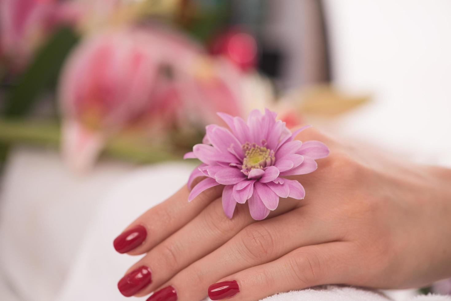 woman fingers with french manicure photo