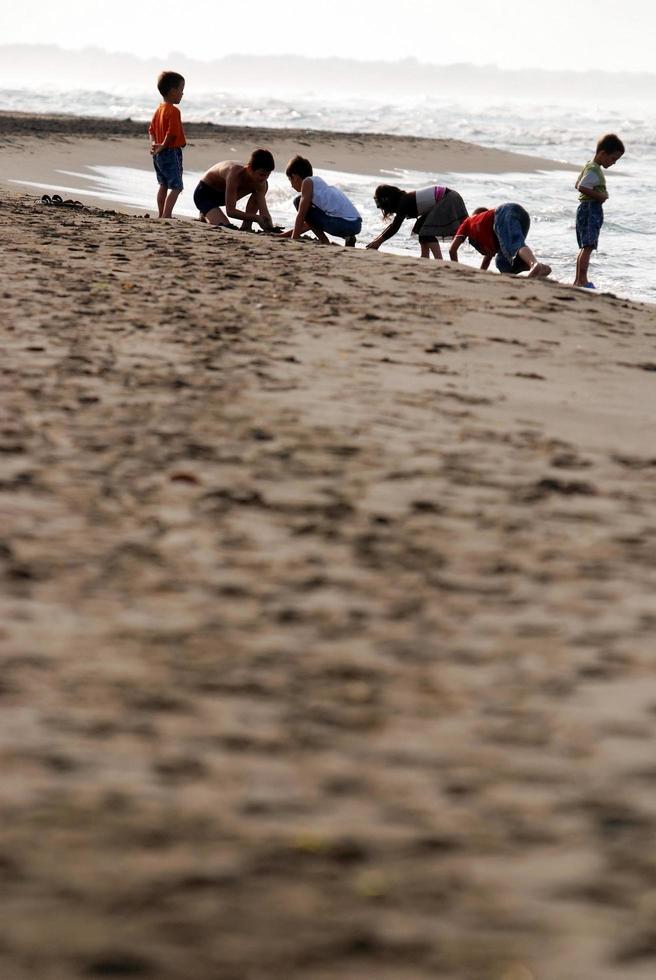 diversión en la playa foto