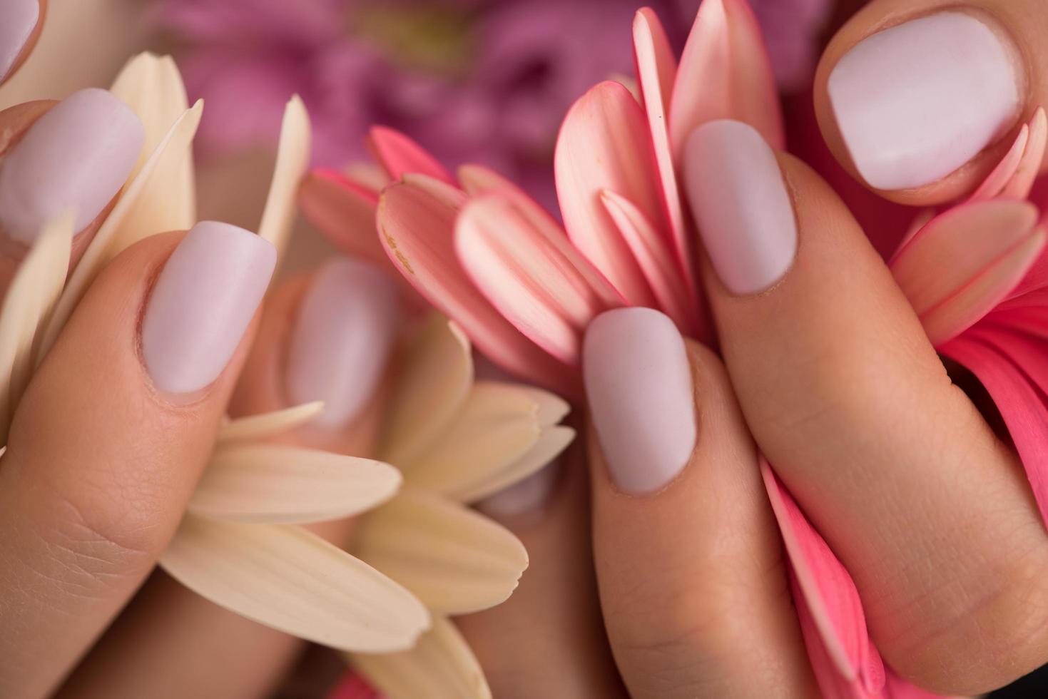 manos de mujer con manicura sosteniendo flor foto